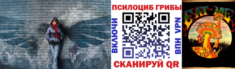 Галлюциногенные грибы Cubensis  Новосокольники 